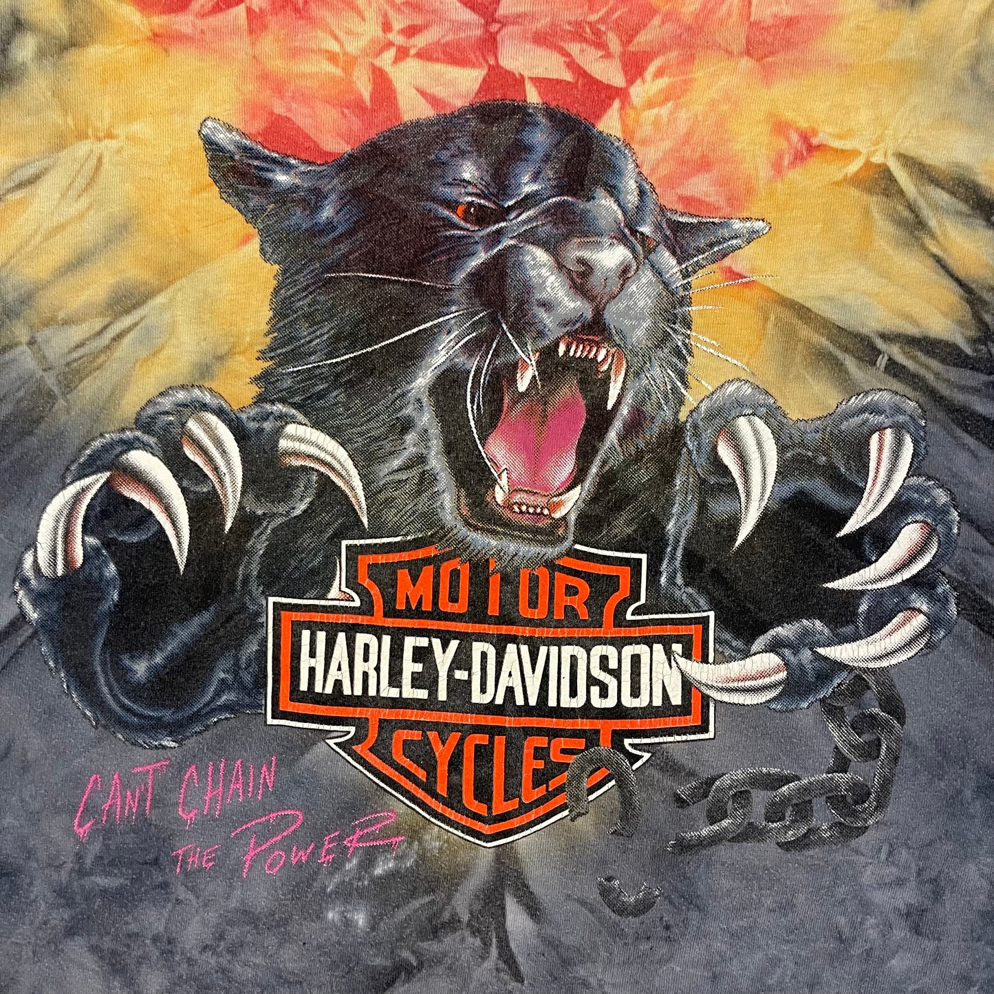 '90s Harley "Can't chain the power" tee