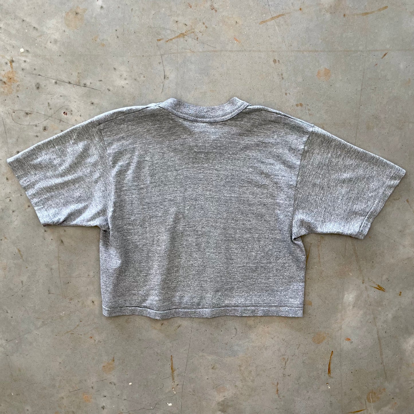 1980s Bikini Inspector cropped tee