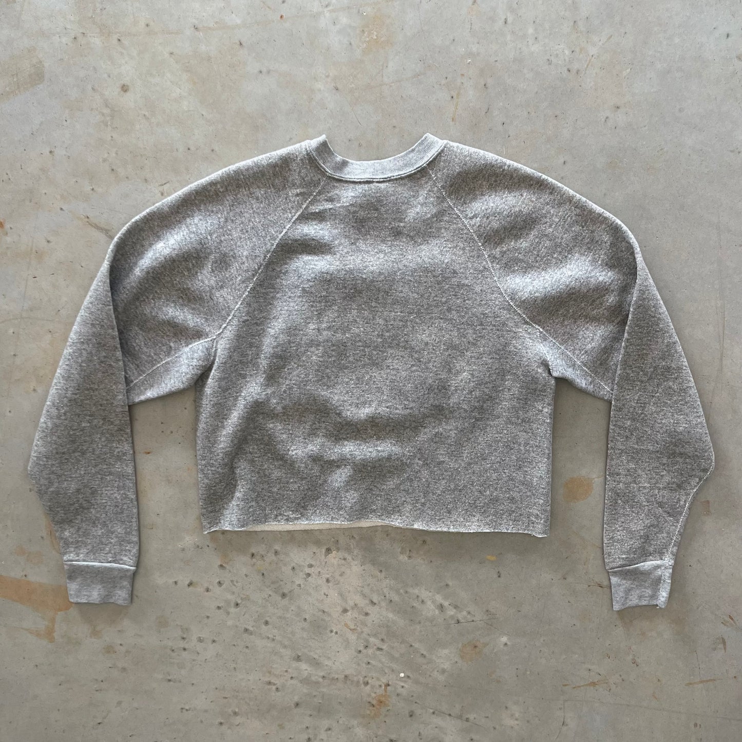 1980s Dragon Patch Cropped Sweatshirt